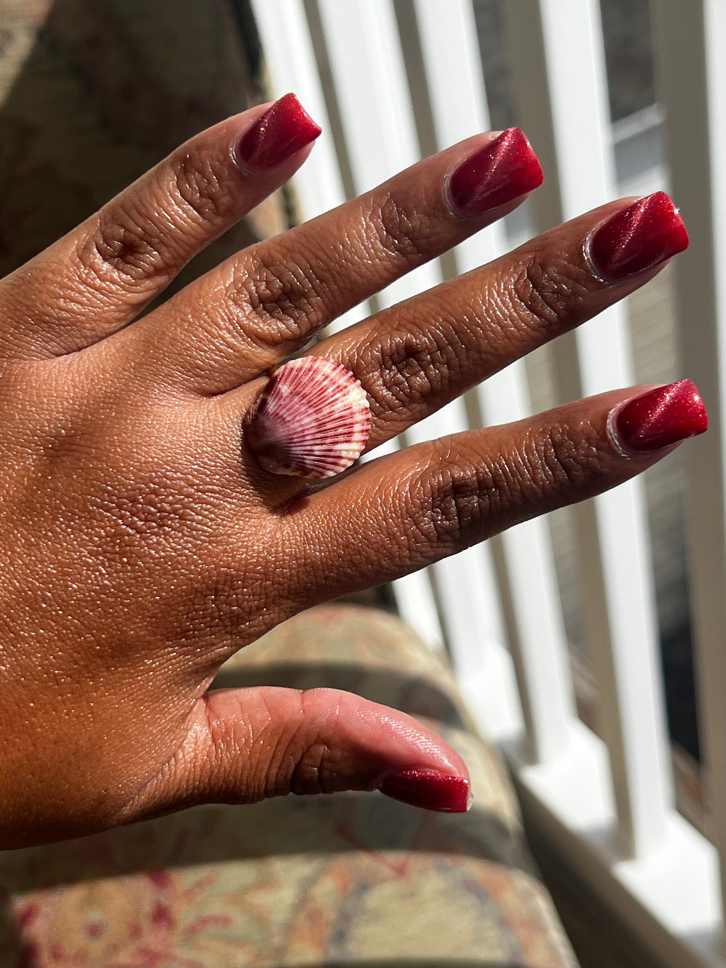 Sea Shell Adjustable Ring